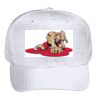 OTTO CAP 6 Panel Mid Profile Baseball Cap Thumbnail