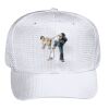 OTTO CAP 6 Panel Mid Profile Baseball Cap Thumbnail