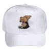 OTTO CAP 6 Panel Mid Profile Baseball Cap Thumbnail
