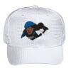 OTTO CAP 6 Panel Mid Profile Baseball Cap Thumbnail