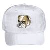 OTTO CAP 6 Panel Mid Profile Baseball Cap Thumbnail