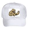 OTTO CAP 6 Panel Mid Profile Baseball Cap Thumbnail
