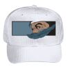 OTTO CAP 6 Panel Mid Profile Baseball Cap Thumbnail