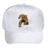 OTTO CAP 6 Panel Mid Profile Baseball Cap Thumbnail