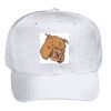 OTTO CAP 6 Panel Mid Profile Baseball Cap Thumbnail
