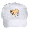 OTTO CAP 6 Panel Mid Profile Baseball Cap Thumbnail