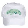OTTO CAP 6 Panel Mid Profile Baseball Cap Thumbnail
