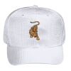 OTTO CAP 6 Panel Mid Profile Baseball Cap Thumbnail