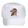 OTTO CAP 6 Panel Mid Profile Baseball Cap Thumbnail