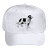 OTTO CAP 6 Panel Mid Profile Baseball Cap Thumbnail