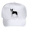 OTTO CAP 6 Panel Mid Profile Baseball Cap Thumbnail