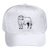 OTTO CAP 6 Panel Mid Profile Baseball Cap Thumbnail