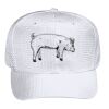 OTTO CAP 6 Panel Mid Profile Baseball Cap Thumbnail