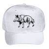 OTTO CAP 6 Panel Mid Profile Baseball Cap Thumbnail