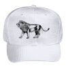 OTTO CAP 6 Panel Mid Profile Baseball Cap Thumbnail