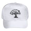 OTTO CAP 6 Panel Mid Profile Baseball Cap Thumbnail