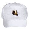 OTTO CAP 6 Panel Mid Profile Baseball Cap Thumbnail