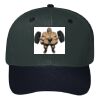 OTTO CAP 6 Panel Mid Profile Baseball Cap Thumbnail