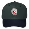 OTTO CAP 6 Panel Mid Profile Baseball Cap Thumbnail
