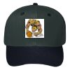 OTTO CAP 6 Panel Mid Profile Baseball Cap Thumbnail