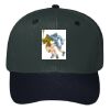 OTTO CAP 6 Panel Mid Profile Baseball Cap Thumbnail