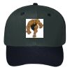 OTTO CAP 6 Panel Mid Profile Baseball Cap Thumbnail