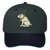 OTTO CAP 6 Panel Mid Profile Baseball Cap Thumbnail