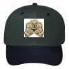 OTTO CAP 6 Panel Mid Profile Baseball Cap Thumbnail