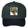 OTTO CAP 6 Panel Mid Profile Baseball Cap Thumbnail