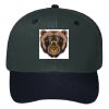 OTTO CAP 6 Panel Mid Profile Baseball Cap Thumbnail