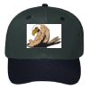 OTTO CAP 6 Panel Mid Profile Baseball Cap Thumbnail