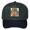 OTTO CAP 6 Panel Mid Profile Baseball Cap Thumbnail