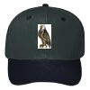 OTTO CAP 6 Panel Mid Profile Baseball Cap Thumbnail