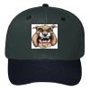 OTTO CAP 6 Panel Mid Profile Baseball Cap Thumbnail