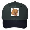OTTO CAP 6 Panel Mid Profile Baseball Cap Thumbnail