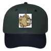 OTTO CAP 6 Panel Mid Profile Baseball Cap Thumbnail