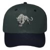 OTTO CAP 6 Panel Mid Profile Baseball Cap Thumbnail
