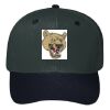 OTTO CAP 6 Panel Mid Profile Baseball Cap Thumbnail