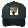OTTO CAP 6 Panel Mid Profile Baseball Cap Thumbnail