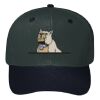 OTTO CAP 6 Panel Mid Profile Baseball Cap Thumbnail