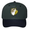 OTTO CAP 6 Panel Mid Profile Baseball Cap Thumbnail