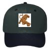 OTTO CAP 6 Panel Mid Profile Baseball Cap Thumbnail