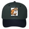 OTTO CAP 6 Panel Mid Profile Baseball Cap Thumbnail