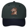OTTO CAP 6 Panel Mid Profile Baseball Cap Thumbnail