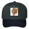 OTTO CAP 6 Panel Mid Profile Baseball Cap Thumbnail