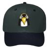 OTTO CAP 6 Panel Mid Profile Baseball Cap Thumbnail