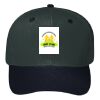OTTO CAP 6 Panel Mid Profile Baseball Cap Thumbnail