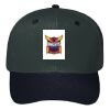 OTTO CAP 6 Panel Mid Profile Baseball Cap Thumbnail