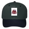 OTTO CAP 6 Panel Mid Profile Baseball Cap Thumbnail